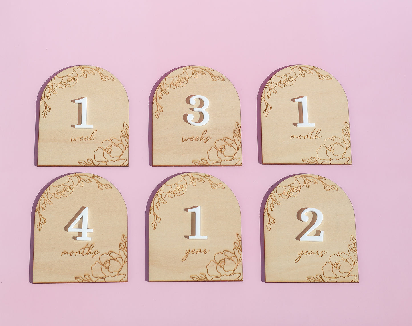 Interchangeable Baby Milestone Disc Set
