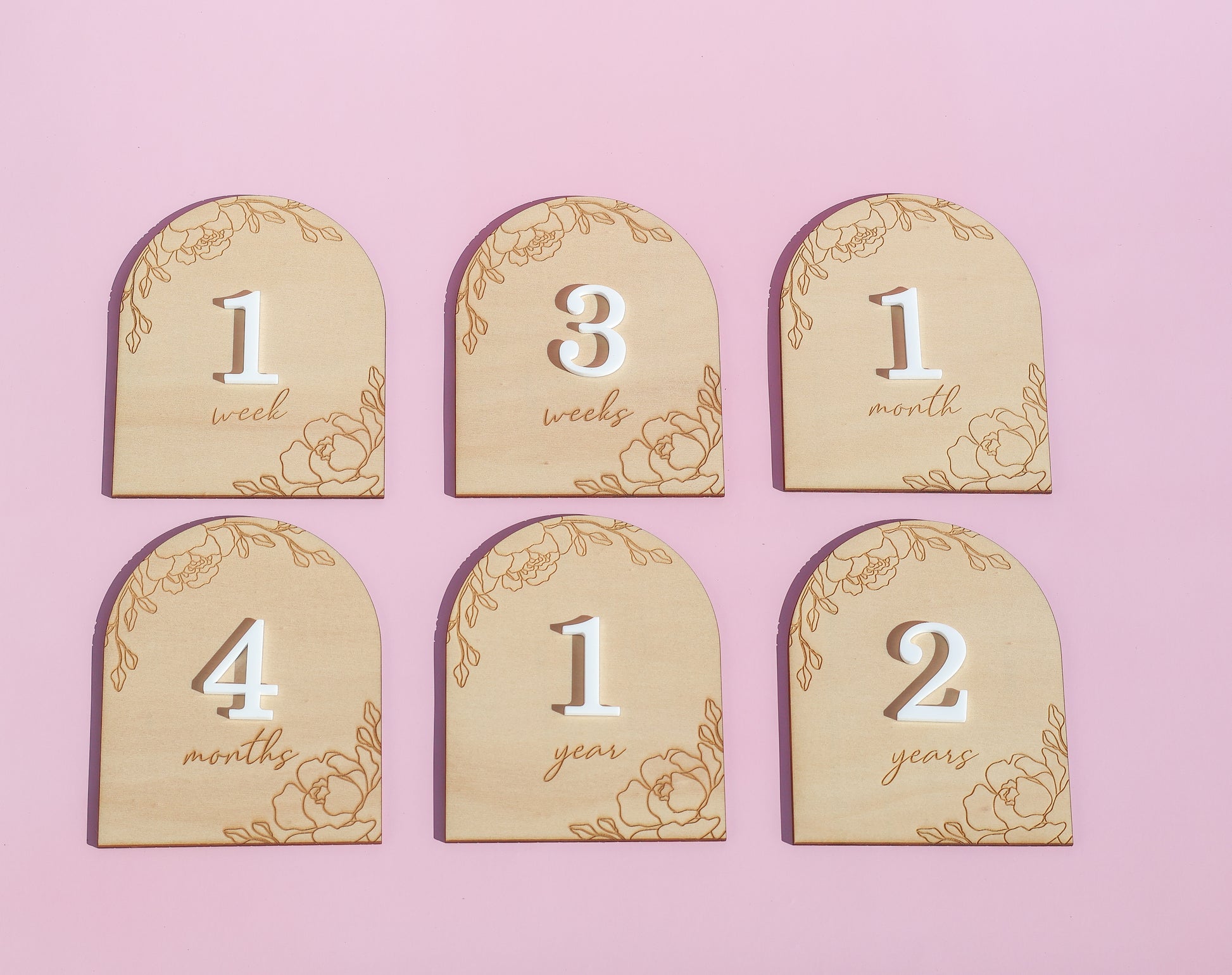 Interchangeable Baby Milestone Disc Set