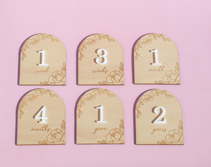 Interchangeable Baby Milestone Disc Set